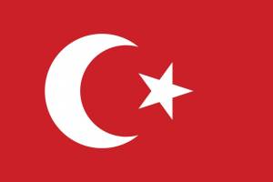 Логотип Турецкие погрузчики