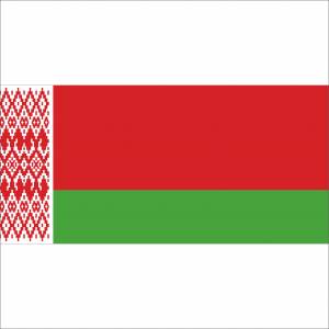 Логотип Белорусские погрузчики